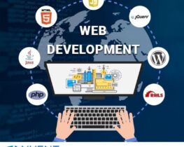 web development web development
